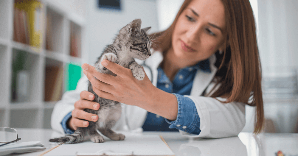 Clinical Analogy Series Part 1: COGS and Azotemia